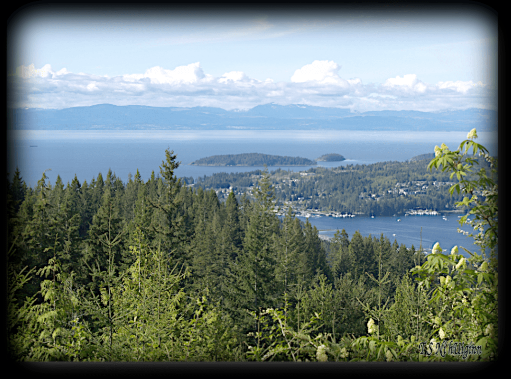 Photograph of Vancouver Island taken from the Sunshine Coast BC with Olympus Evolt E-300 by Coastal Salish Photographer TS Ni hUiginn