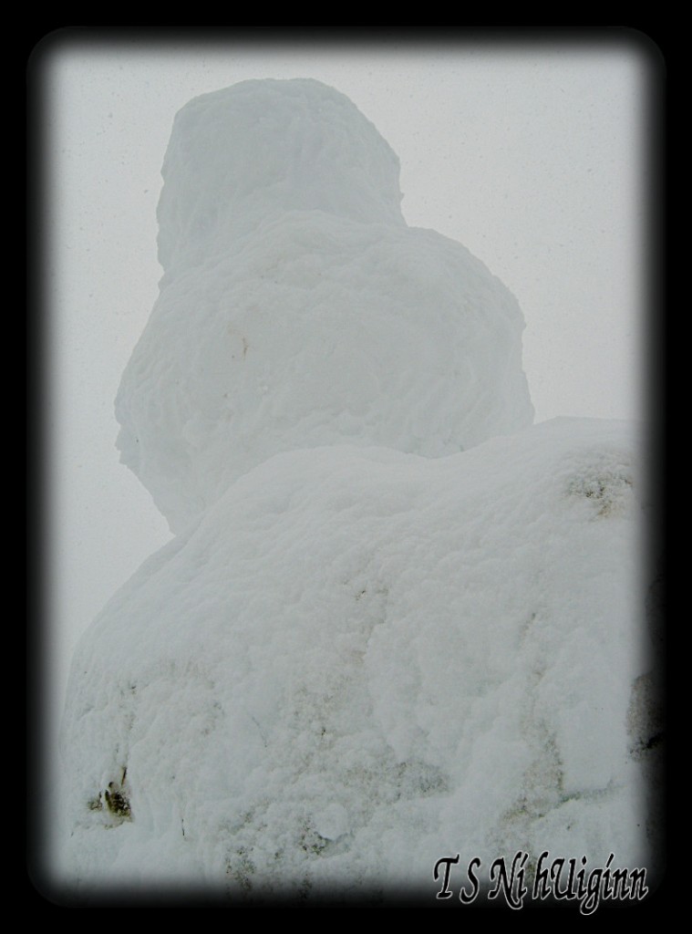 A photo of a snowman, taken by Salish photographer TS Ni hUiginn